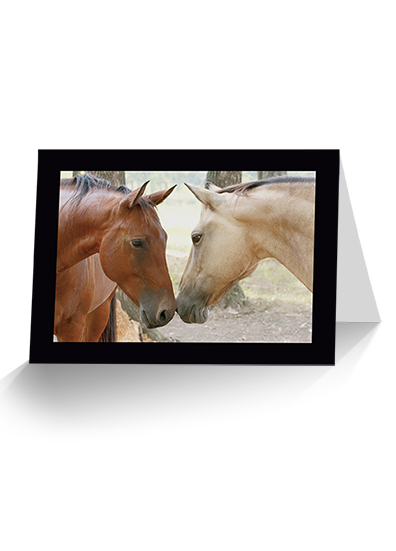 Friends Horse Greeting Card