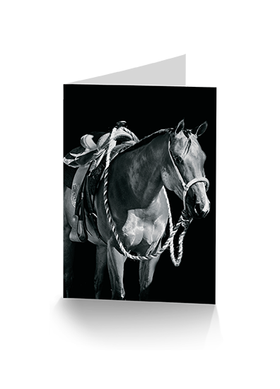 Into the Light Horse Greeting Card