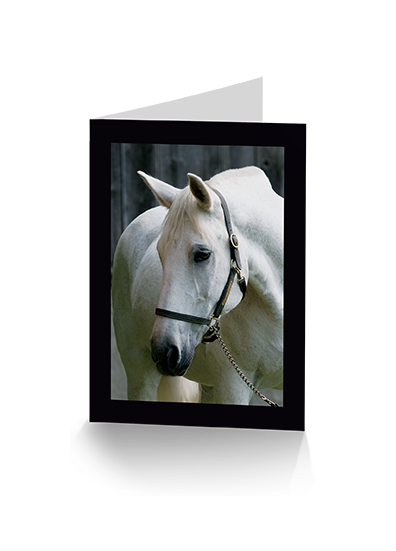 Spike Horse Greeting Card